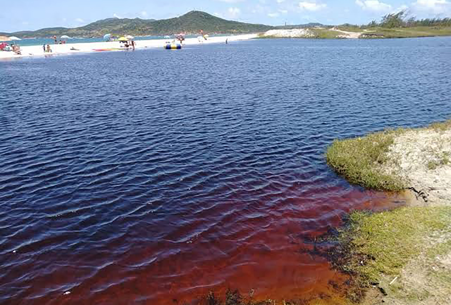 Lagoa do Meio apresenta balneabilidade positiva em Cabo Frio, diz relatório