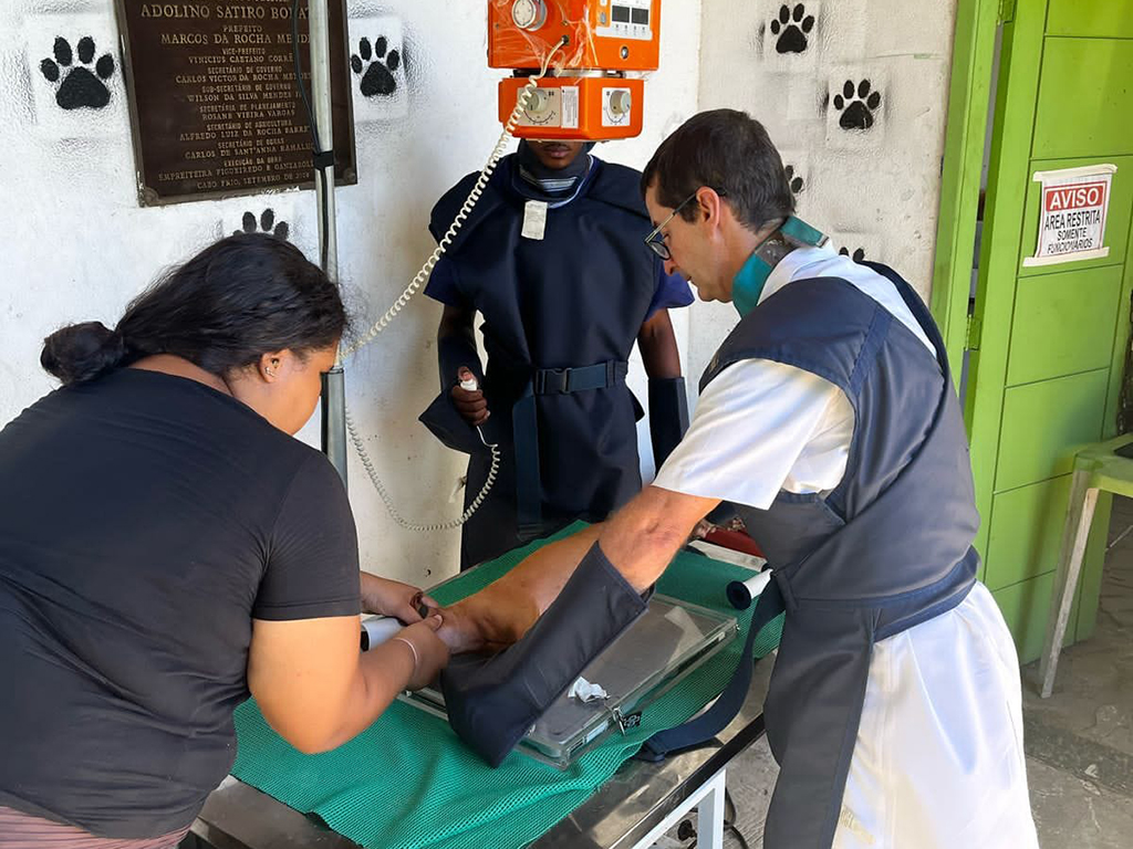 Veterinários voluntários realizam mutirão e agilizam tratamentos no Canil de Cabo Frio