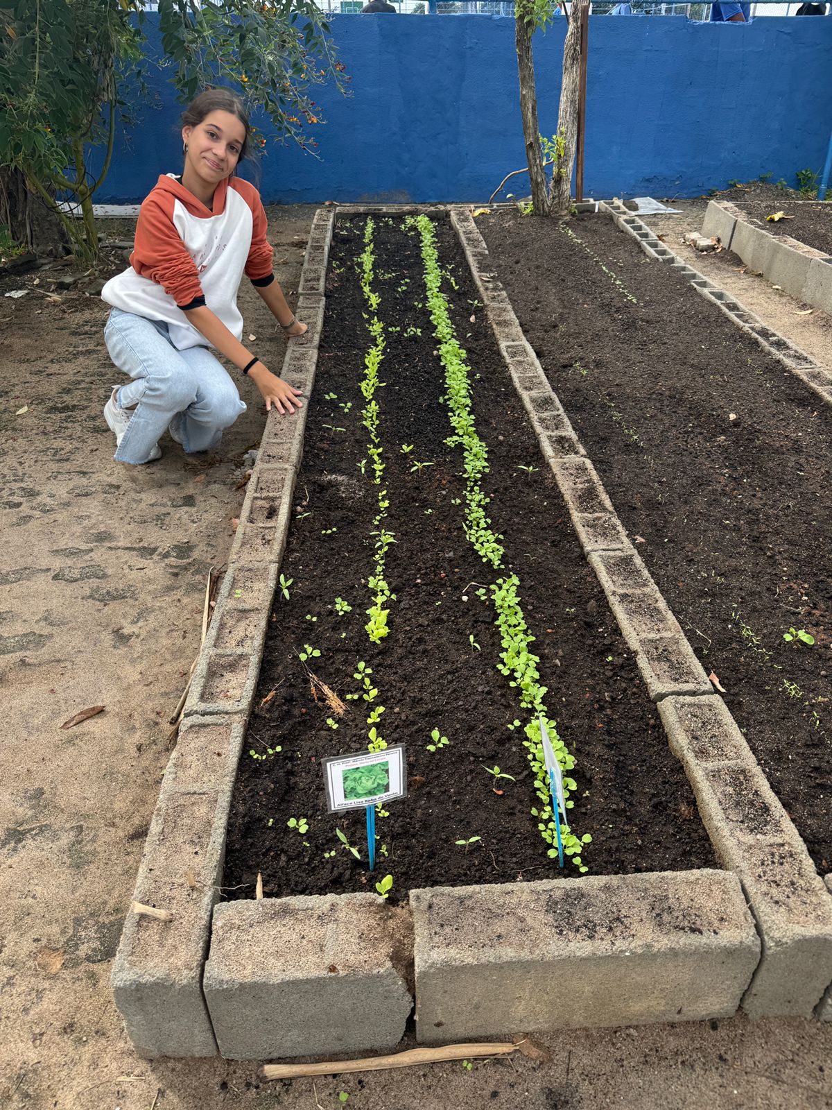 Hortas escolares ganham espaço e fortalecem a educação ambiental em Cabo Frio