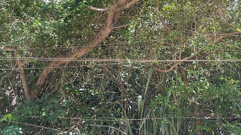 Secretaria de Meio Ambiente de Cabo Frio faz inspeção técnica no Pontal do Peró