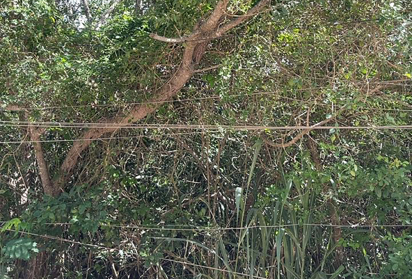 Secretaria de Meio Ambiente de Cabo Frio faz inspeção técnica no Pontal do Peró