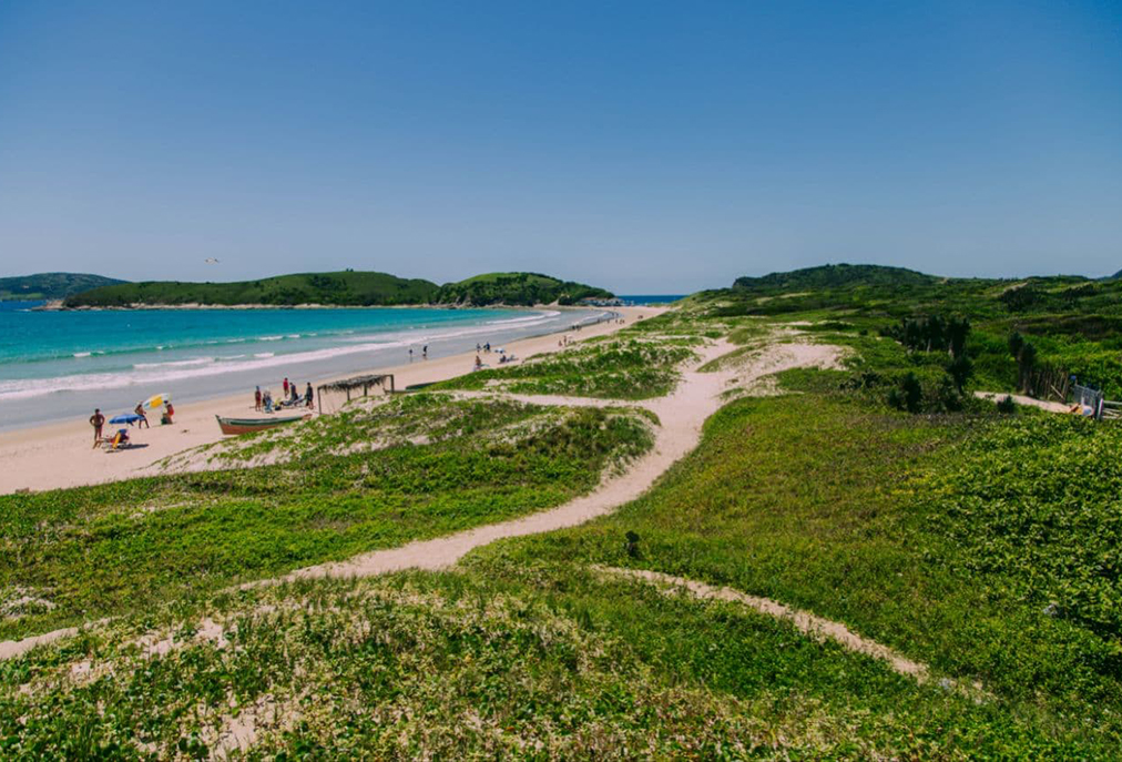 No Dia da Mata Atlântica, Cabo Frio mira na conservação do que ainda resiste