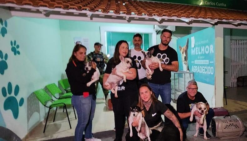 Adote em Arraial do Cabo muitos animais ainda esperam por uma chance de um novo lar