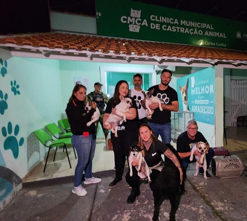 Adote em Arraial do Cabo muitos animais ainda esperam por uma chance de um novo lar