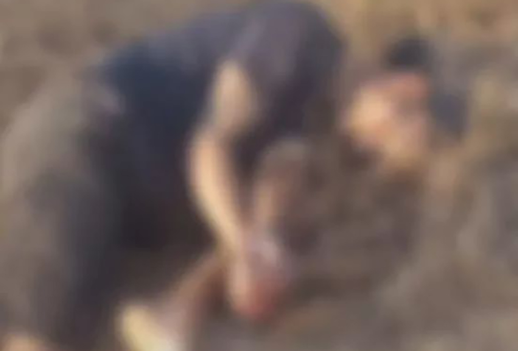 Caso de morte violenta em Iguaba Grande segue sob investigação da Polícia Civil