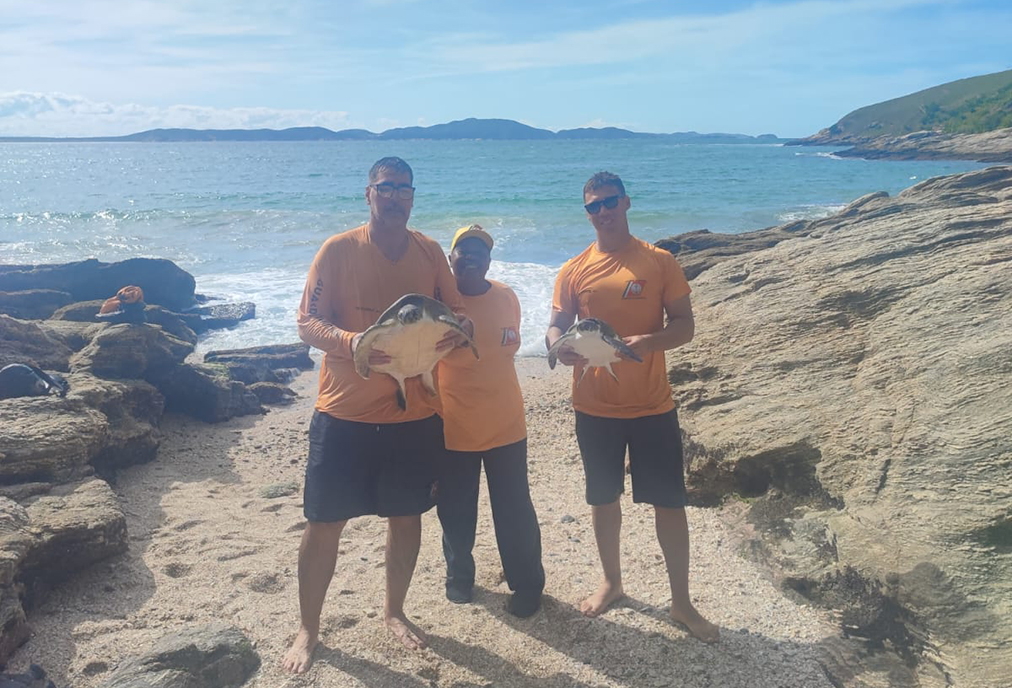 Rede de pesca ameaça fauna marinha e quatro tartarugas são resgatadas no Morro do Vigia, Cabo Frio