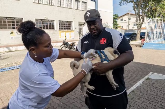 Vacinação contra raiva animal avança em Macaé nesta semana