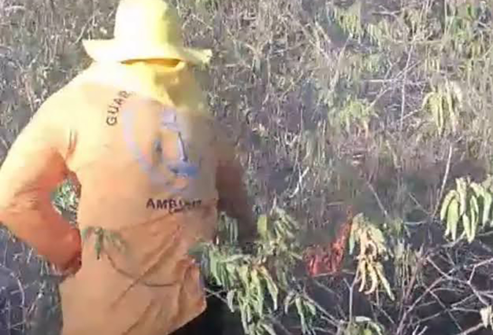 Guarda de Cabo Frio apaga fogo e resgata albatroz debilitado em duas operações no mesmo dia