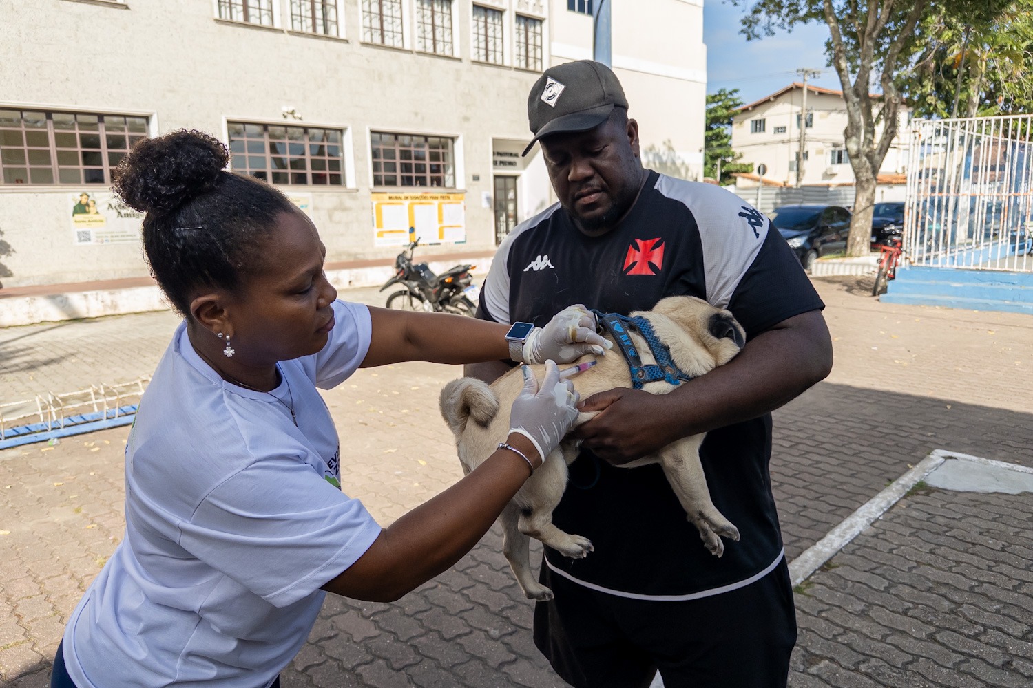 Proteção garantida: vacinação antirrábica chega a mais bairros em Macaé nesta semana