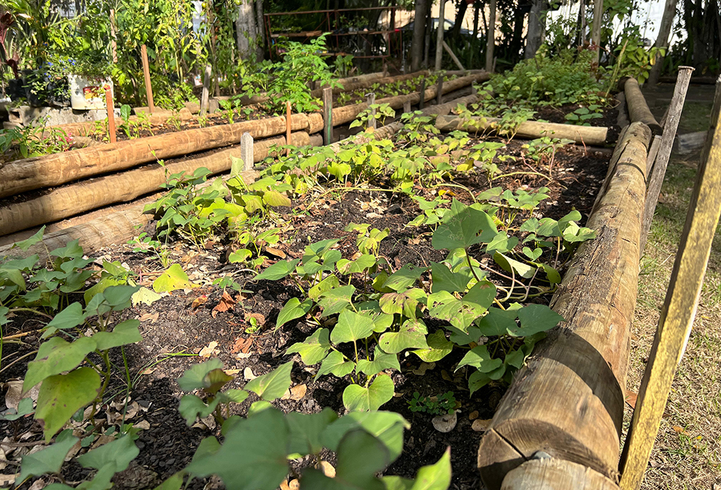 Feira Quilombola integra cultura, sustentabilidade e economia criativa em Cabo Frio