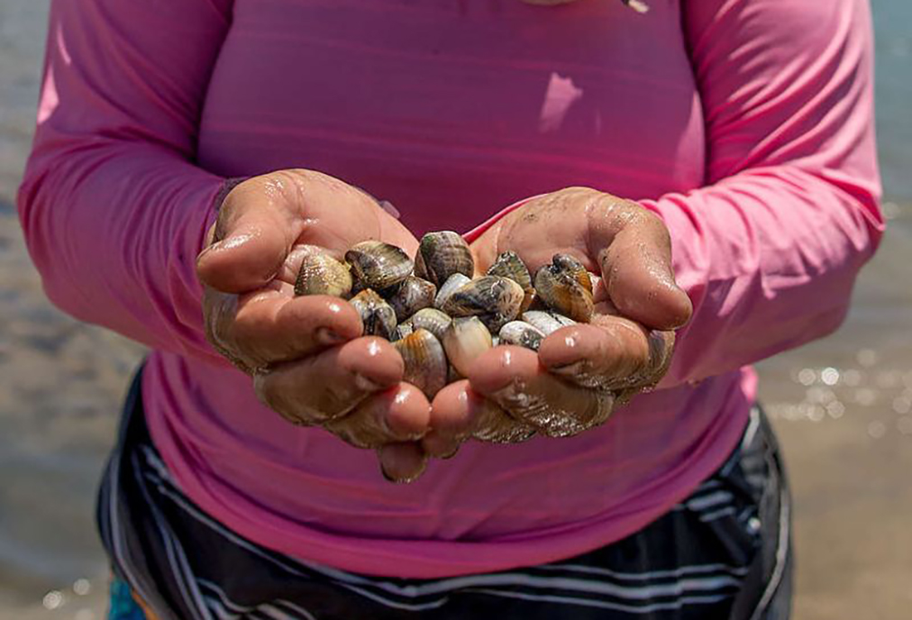 Pescadores e marisqueiras passam a ter prioridade em exames na rede estadual de saúde do Rio