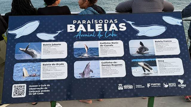 Arraial do Cabo terá baleia-jubarte inflável e programação especial nos dias 13 e 14