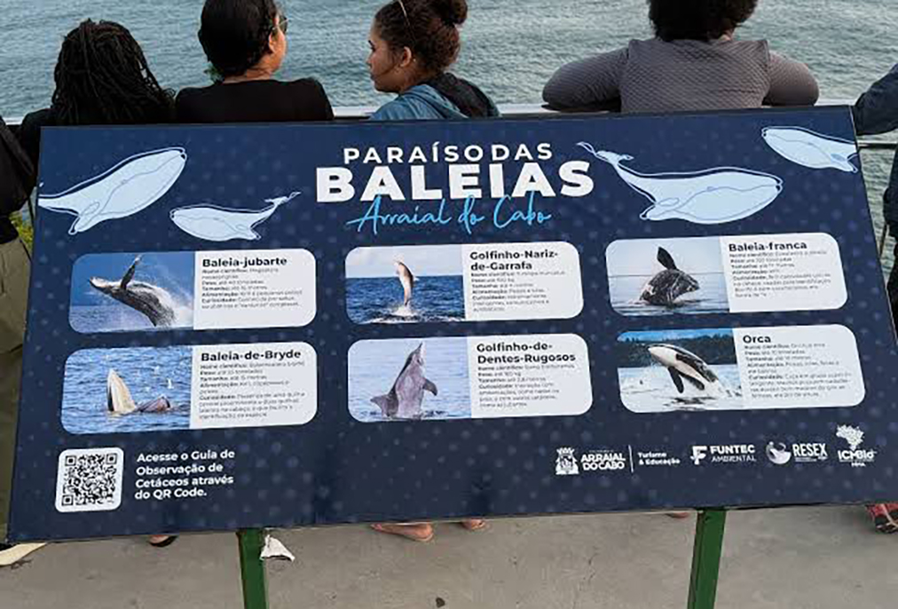 Arraial do Cabo terá baleia-jubarte inflável e programação especial nos dias 13 e 14