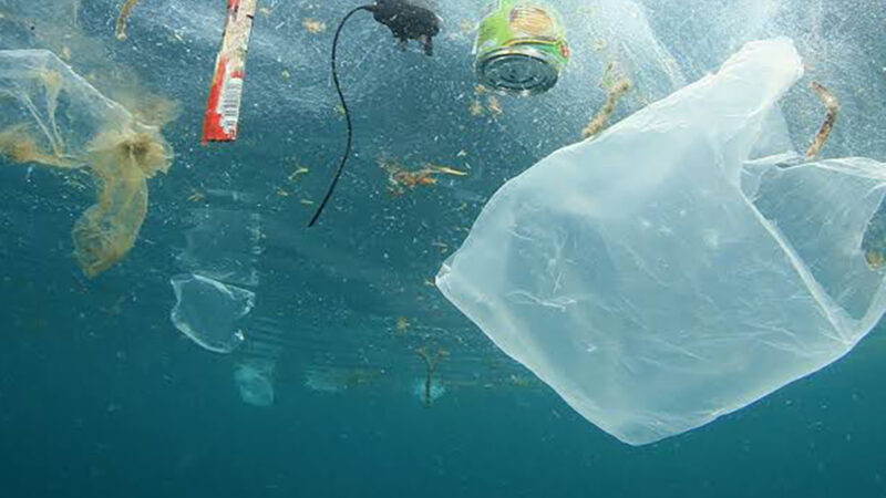 Secretaria do Ambiente organiza atividades do Dia da Limpeza em Arraial do Cabo