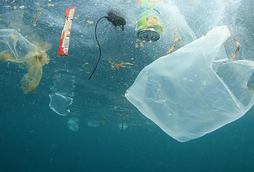 Secretaria do Ambiente organiza atividades do Dia da Limpeza em Arraial do Cabo