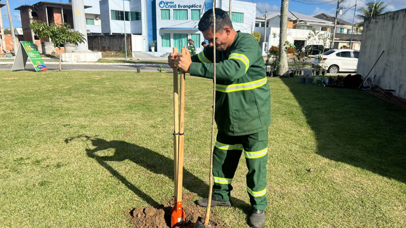 Parque do Mico-Leão-Dourado em Tamoios contribui com 300 novas mudas por mês
