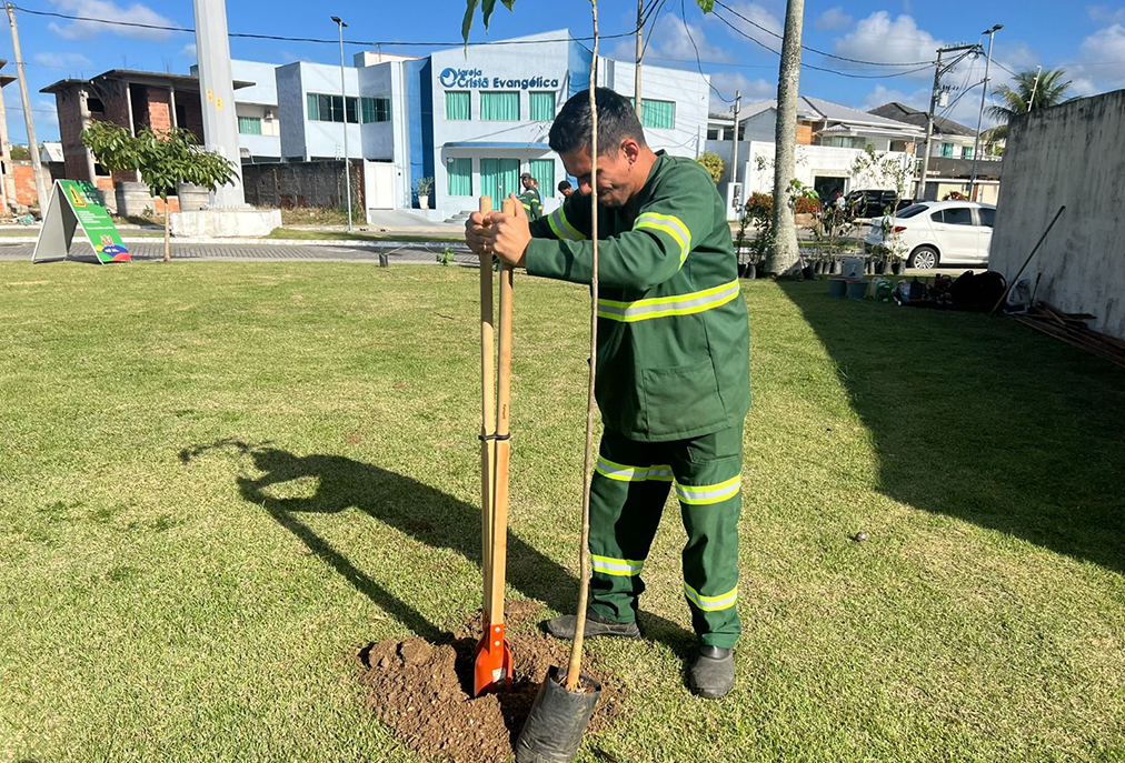 Parque do Mico-Leão-Dourado em Tamoios contribui com 300 novas mudas por mês