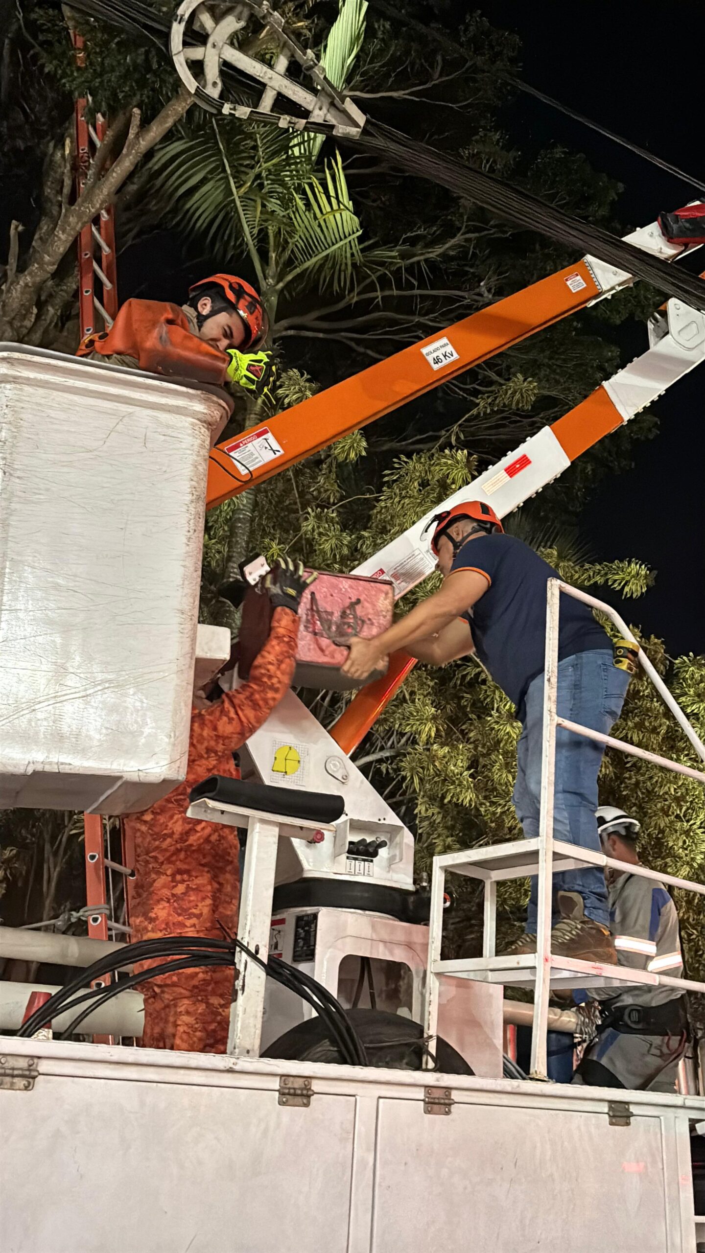 Gato salvo em Cabo Frio mobiliza força-tarefa e atenção da população