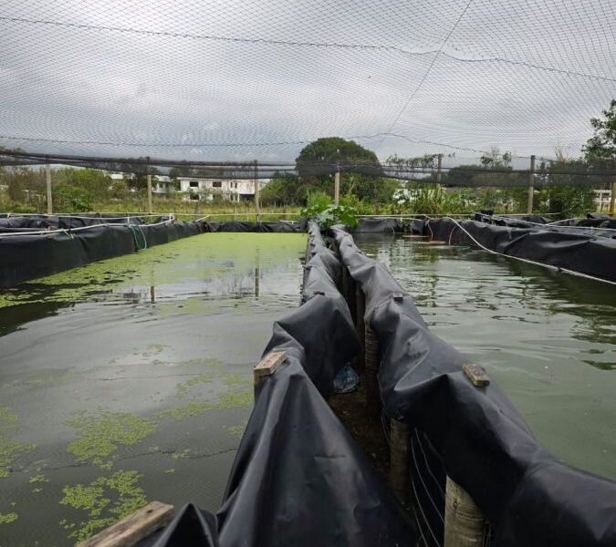 Gestores de Rio das Ostras visitam projeto social ligado à pesca em Campos