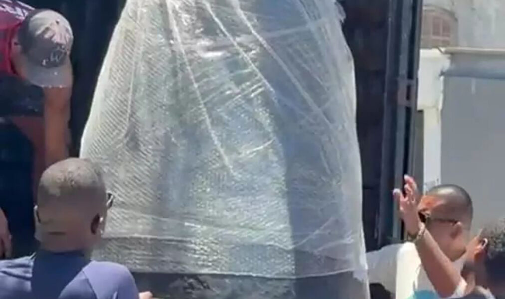 Arraial do Cabo recebe réplicas de fauna marinha para exposições e ações públicas