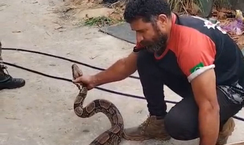 Cabo Frio registra ações de cuidado e preservação da fauna urbana
