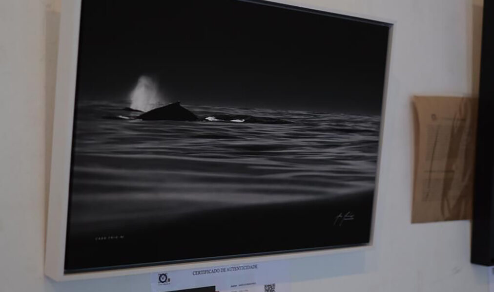 Marcus Mendonça apresenta a série Jubarte no Charitas em Cabo Frio