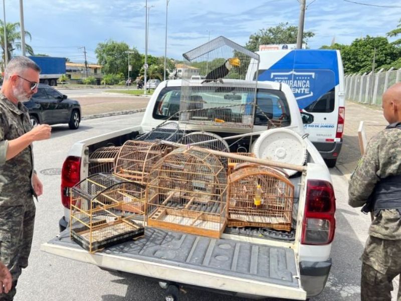 Denúncia anônima leva Guarda Ambiental a resgatar 12 aves silvestres em Rio das Ostras