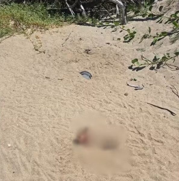 Homem é achado morto na divisa entre Campos e Quissamã