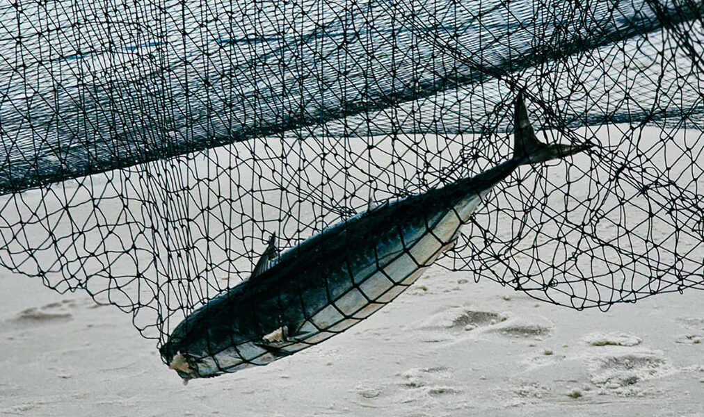 Cultura, gastronomia e educação ambiental movimentam Arraial do Cabo no Dia Mundial da Água