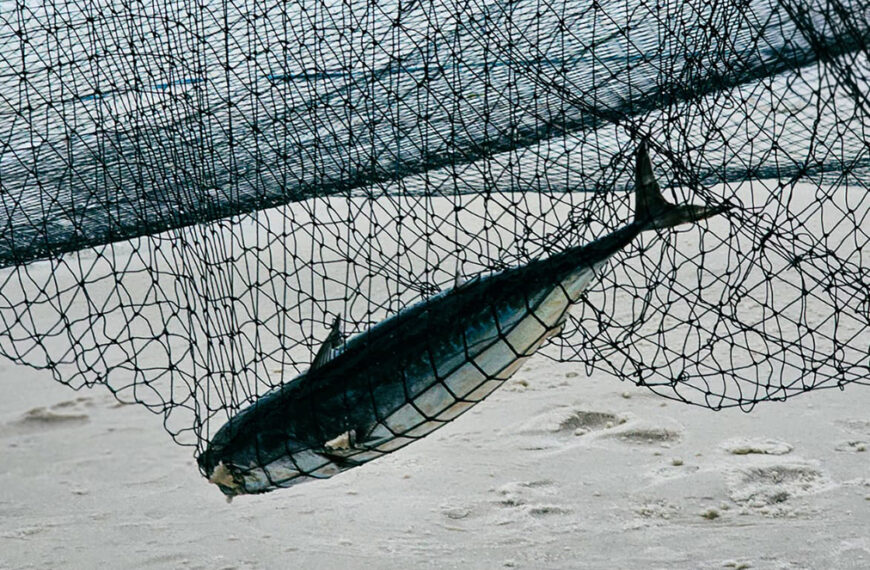 Cultura, gastronomia e educação ambiental movimentam Arraial do Cabo no Dia Mundial da Água