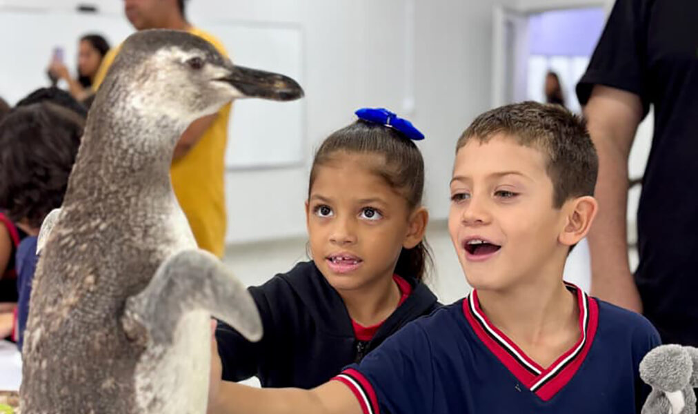 Exposição interativa aproxima estudantes de Arraial do Cabo da vida marinha