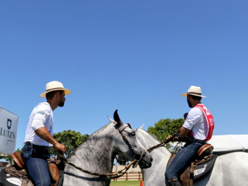 Criadores de cavalos de todo o país se reúnem em exposição em Macaé até o dia 21