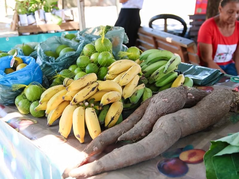 Feira do Produtor Rural acontece nesse sábado, 11, no centro de Saquarema