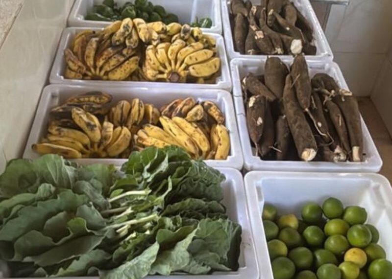 Colheita de alimentos cultivados na cidade abastece Casa do Diabético, em Saquarema