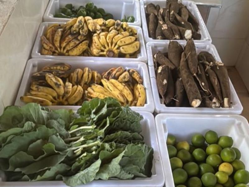 Colheita de alimentos cultivados na cidade abastece Casa do Diabético, em Saquarema