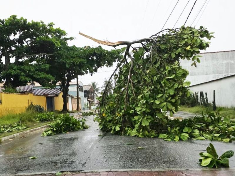 Chuvas fortes voltam a causar transtornos com quedas de árvores em Rio das Ostras