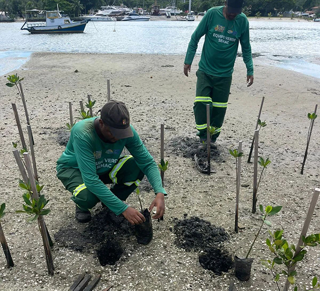 Projeto ambiental fortalece preservação dos manguezais e biodiversidade em Cabo Frio