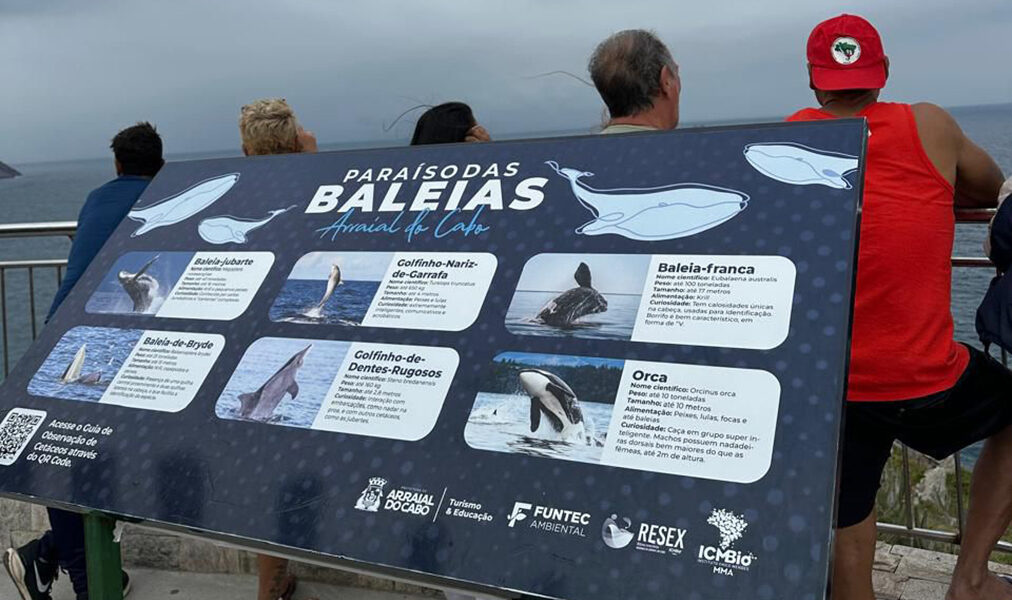 Chamamento público busca voluntários para ações de conservação e ciência ambiental em Arraial do Cabo