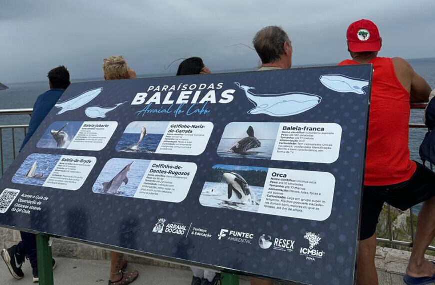 Chamamento público busca voluntários para ações de conservação e ciência ambiental em Arraial do Cabo