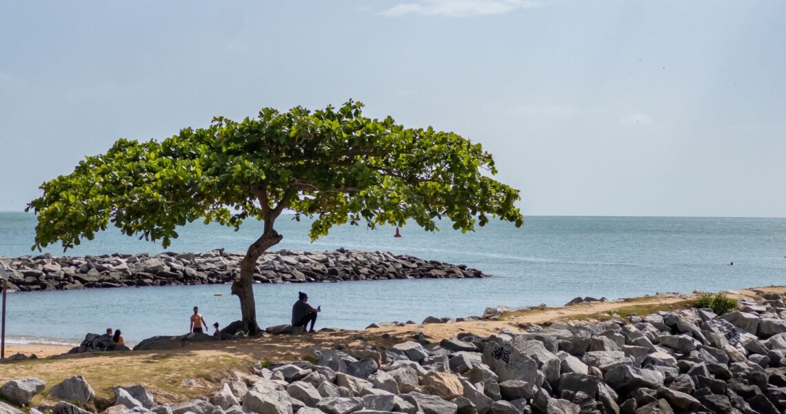 Projeto Walking Tour oferece experiência turística acessível em Macaé
