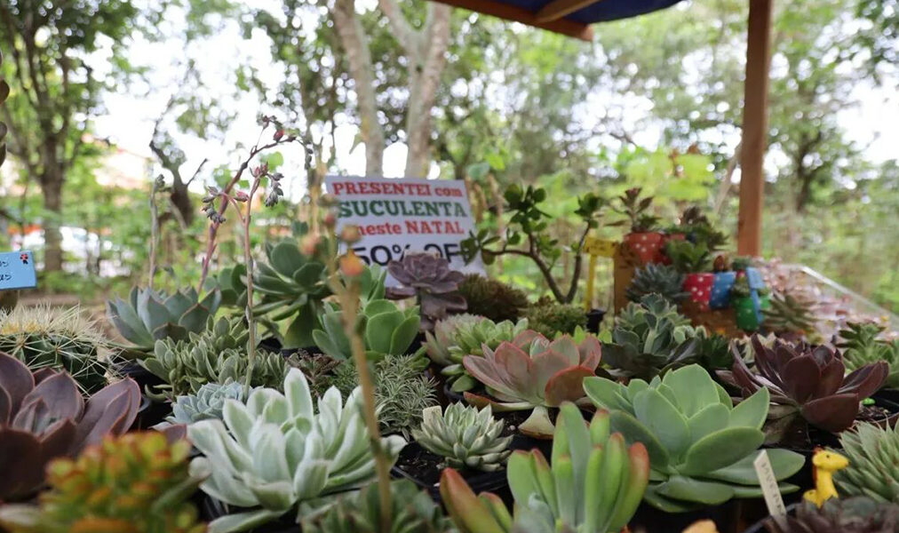 Cabo Frio realiza Feira Quilombola com gastronomia, artesanato e consciência ecológica