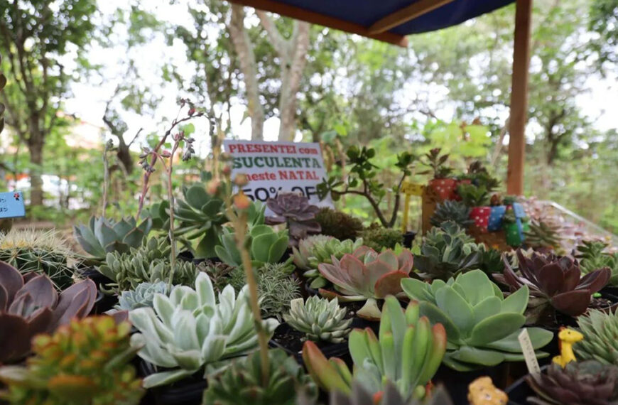 Cabo Frio realiza Feira Quilombola com gastronomia, artesanato e consciência ecológica