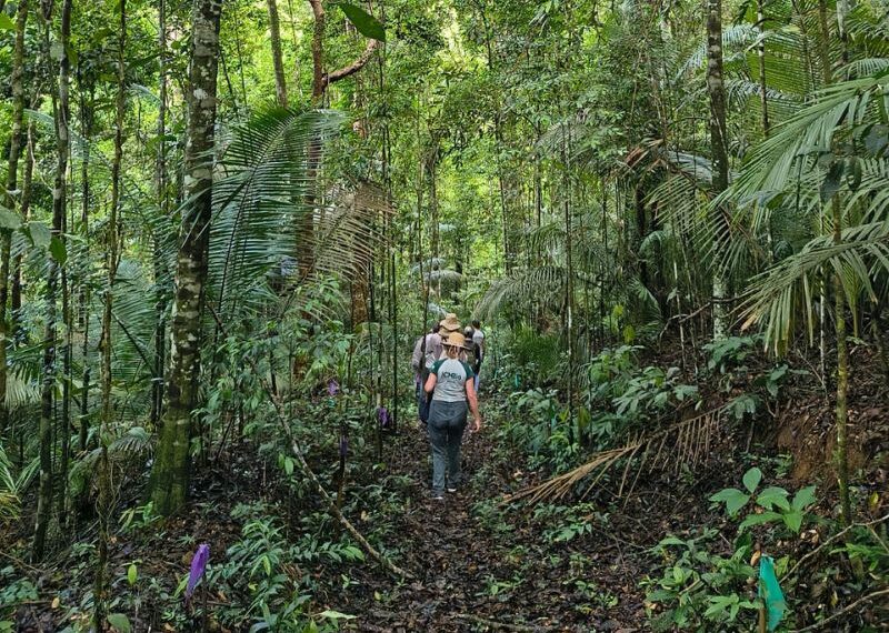 Rebio União celebra 28 anos voltados para a preservação da Mata Atlântica