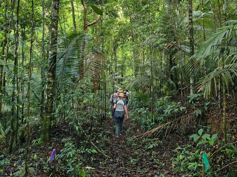 Rebio União celebra 28 anos voltados para a preservação da Mata Atlântica