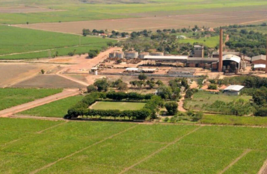 Serviços de terraplanagem e limpeza reforçam mobilidade no Quilombo Maria Romana em Cabo Frio