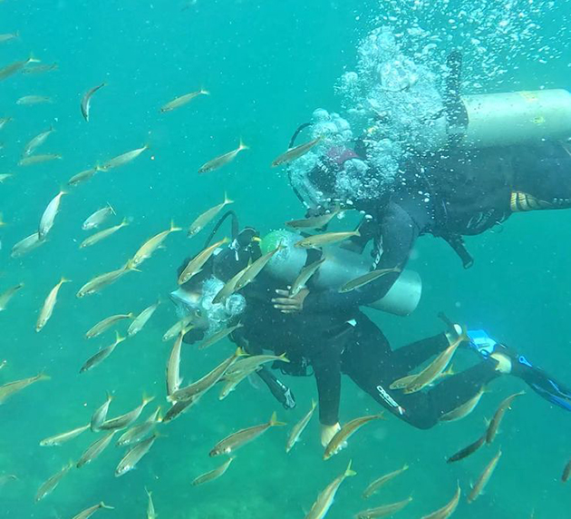 Festival de mergulho em Arraial do Cabo terá palestras, competição e shows