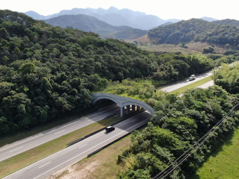 Viaduto vegetado em Silva Jardim pode virar exemplo para todo o país com avanço de projeto no Congresso