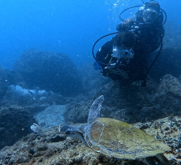 Arraial Diving Festival destaca potencial do município como referência no mergulho