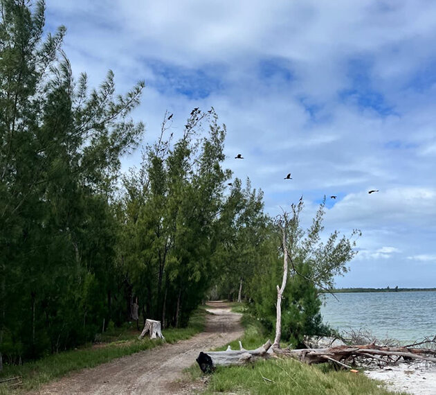 Arraial inaugura percurso ecológico com vista de tirar o fôlego