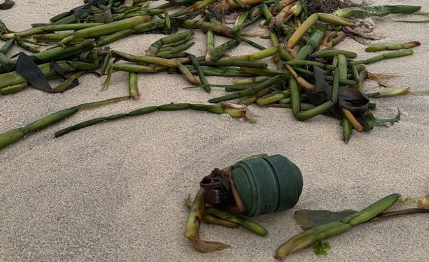 Voluntários recolhiam lixo quando se depararam com uma granada na Praia Grande